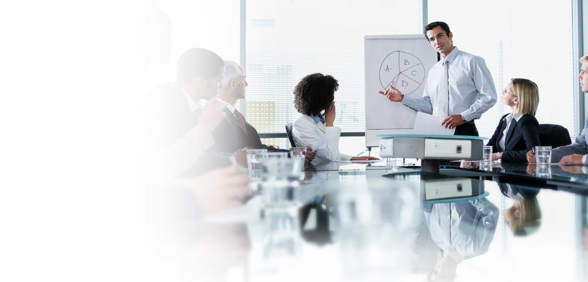 Professional consultants discussing LLC formation strategy